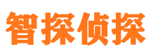 屏边寻人公司